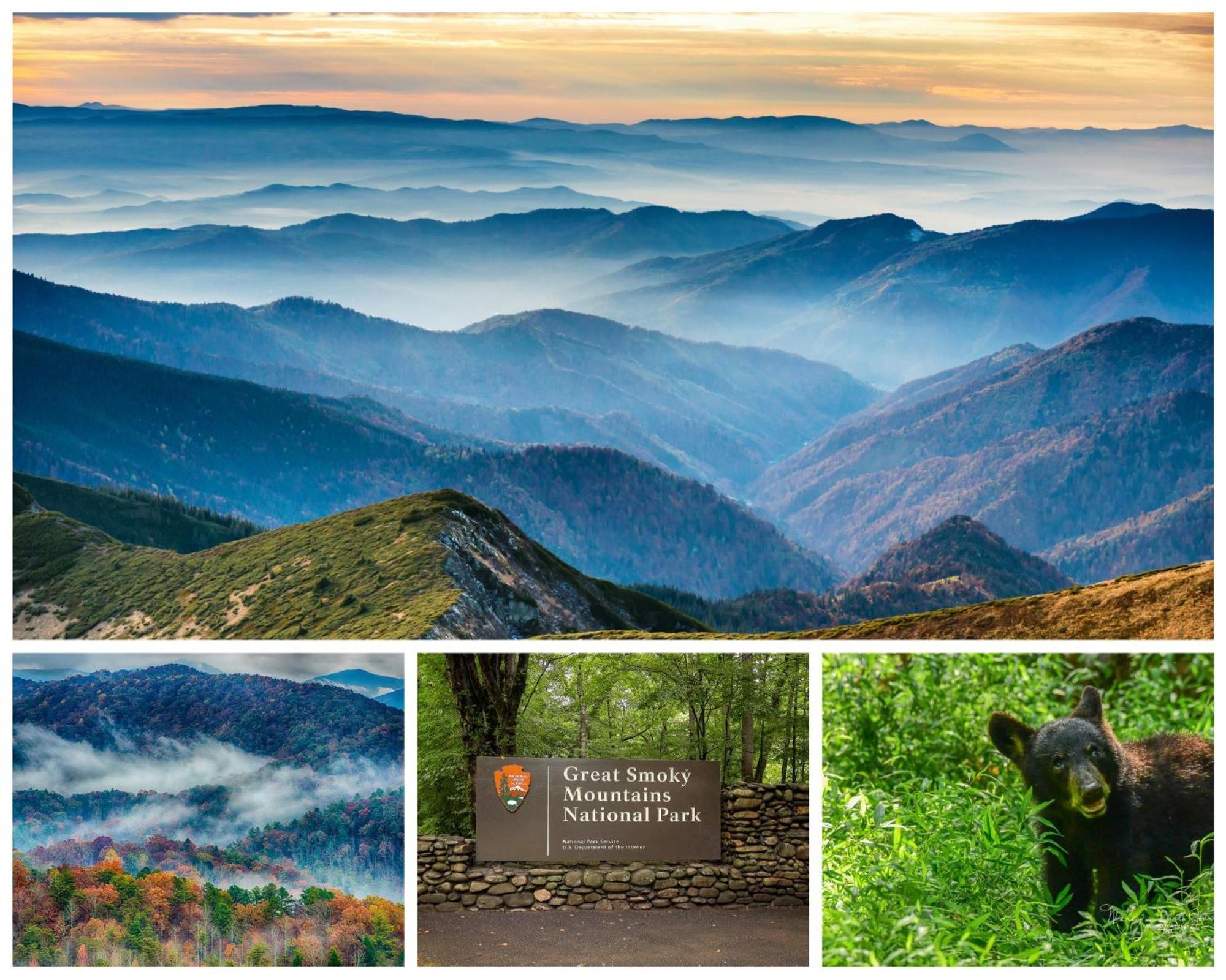 Serenity, A Rustic Log Cabin Retreat Sevierville Luaran gambar